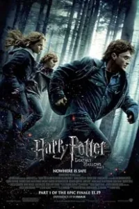 Harry Potter and the Deathly Hallows Part 1 (2010)