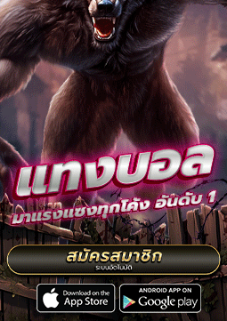 แทงบอล